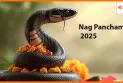 Nag Panchami 2025: जानिए नागपंचमी कब है, कैसे करें पूजा और शुभ मुहूर्त